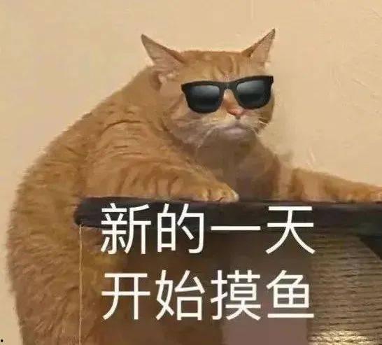 国美爆料员工摸鱼视频,内部管理问题引发热议  第1张